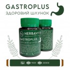 Биофитон® "ЗДОРОВЫЙ ЖЕЛУДОК"60таб 